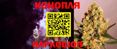 СК Ярославль