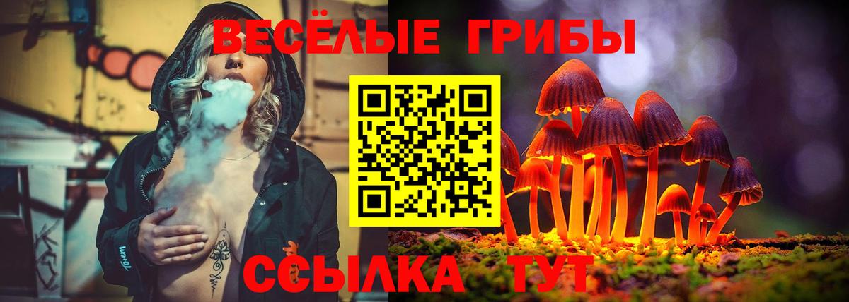 Псилоцибиновые грибы Psilocybine cubensis  Галлюциногенные грибы MAGIC MUSHROOMS  Ейск  Вход с VPN 